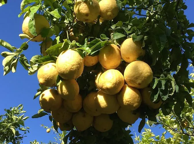 Paradiso Półwysep Sorrentyński