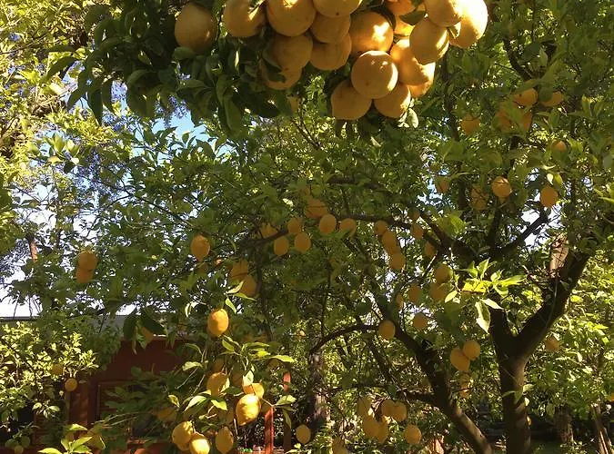 Paradiso * Półwysep Sorrentyński