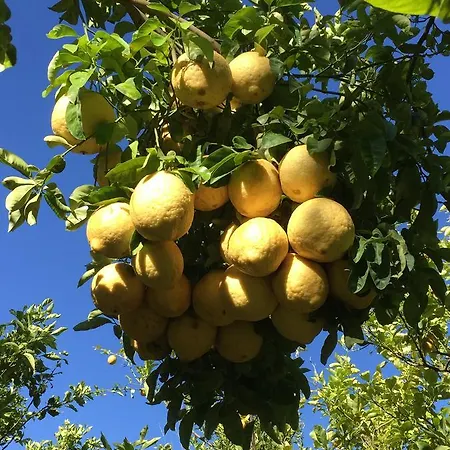 Paradiso Σορέντο