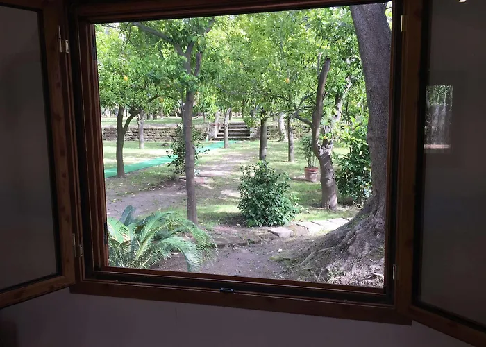 Paradiso *